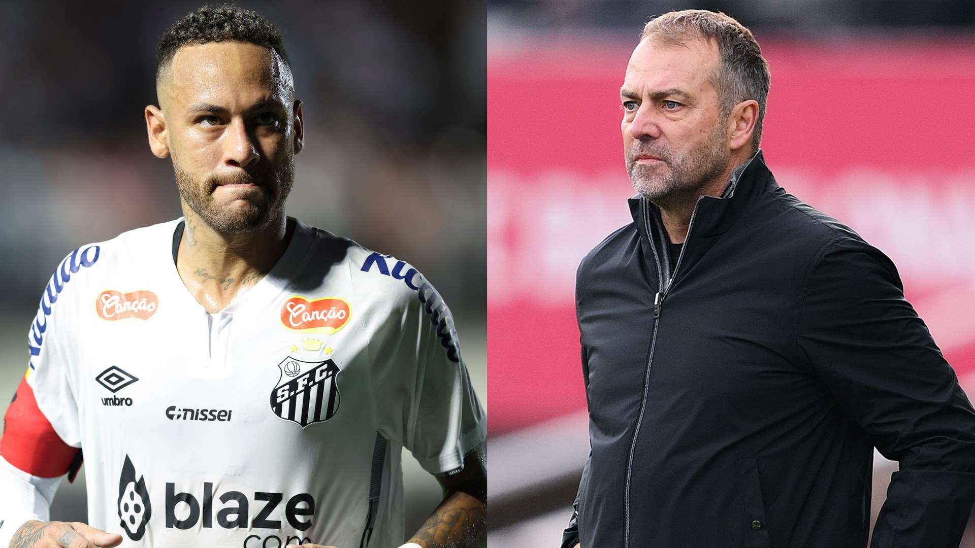 能在未来的 能在未来的